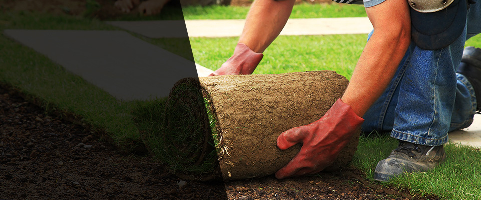 Lakewood Landscapers